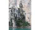 Water coming out of cliff