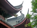 Fantastic Roofs
