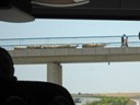 Sheep Herding over Expressway