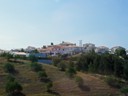 Orchards along Road To Lisbon