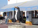 Peguin, Paracas