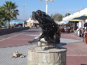 Sea Lion, Paracas