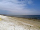 Beach at Hilton Doubletree, Paracas