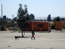 Paracas to San Luis