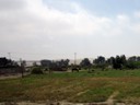 Small farm, Paracas to San Luis