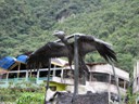 Aguas Calientes