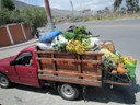 Fruit delivery truck