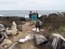 Nazca boobis on trail (Pat)