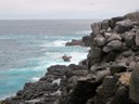 Rough water