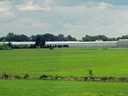 Greenhouse near Antwrep,  Belgium