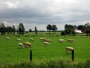 Belgium country side