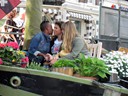 Canal cruise, Amsterdam
