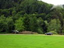 Logging, Germany