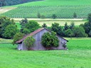 Rural Switzerland