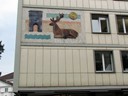 Lucerne