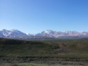 Denali National Park