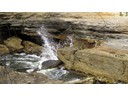 Blowhole