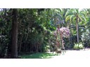 Boomerang Farm Golf Course