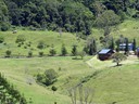 Nerang to Murwillumbah Rd Natural Bridge