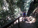 Natural Bridge, Springbrook National Park (Howard)