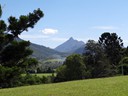Mt. Warning