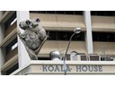 Koala House