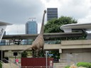 Museum Sciencentre