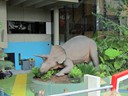 Museum Sciencentre