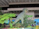 Museum Sciencentre