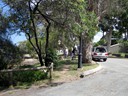 Boreen Point (Howard, Robyn)