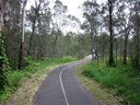 Boondall Wetlands Cycleway (Darcy)