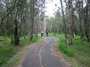 Boondall Wetlands Cycleway (Darcy)